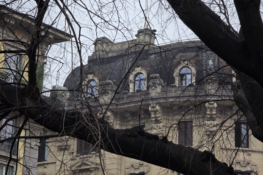 WhatsApp Image 2026-03-18 at 17.18.24