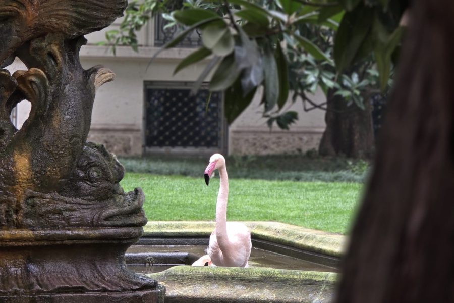 WhatsApp Image 2026-03-18 at 17.18.29 (1)