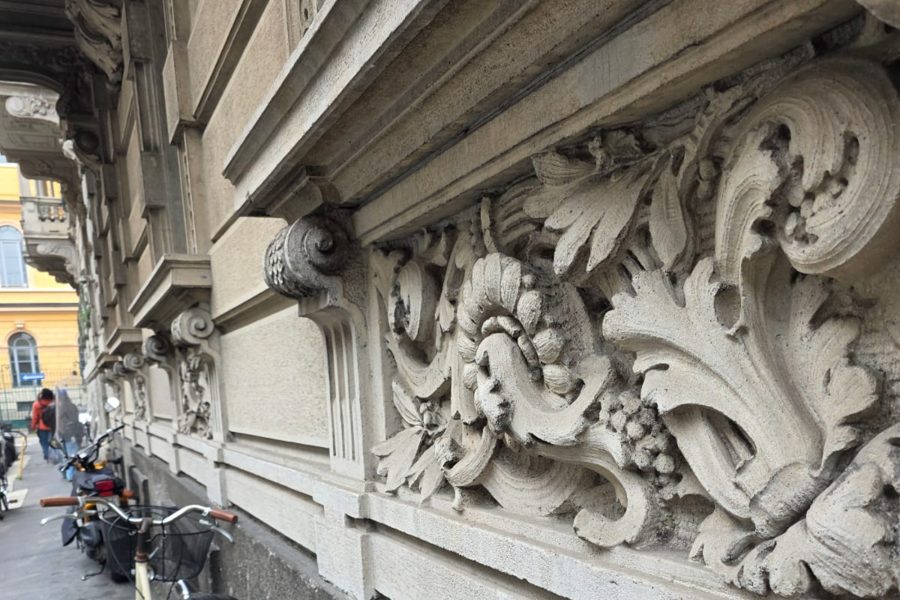 WhatsApp Image 2026-03-18 at 17.18.30