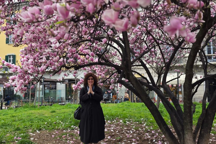 WhatsApp Image 2026-03-18 at 17.58.09