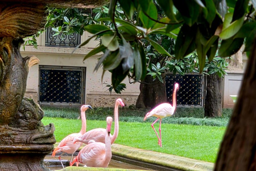 WhatsApp Image 2026-03-19 at 10.28.54