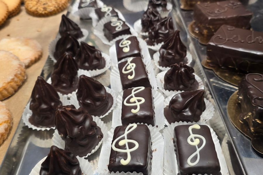 WhatsApp Image 2026-03-19 at 10.39.46